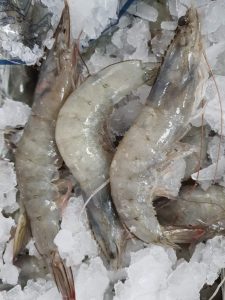 新鲜大虾 Fresh Prawn 30-40