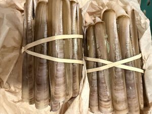 竹蛏 1kg (捆) Gould’s Razor Fish 1kg